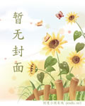 汉化大师