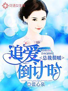 总裁很暖：追爱倒计时