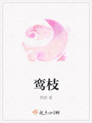 青禾之夏